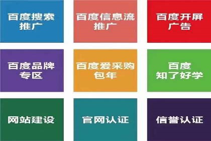 热门SEM运营公司案例深度剖析